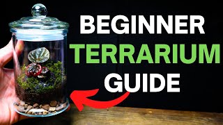 How To Make a Terrarium  A SIMPLE Beginner Guide [upl. by Roid]