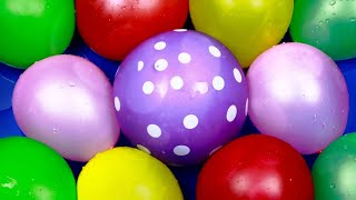 Color Balloons Blast Water Balloons Pop  Popping Water Balloons  Funny Balloon Show [upl. by Gomez]