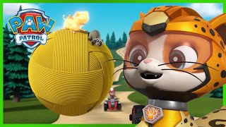 Cat Pack and the Pups Team Up  PAW Patrol  Cartoons for Kids [upl. by Greenquist860]