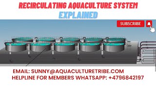 How does the RAS recirculating aquaculture system work [upl. by Annagroeg]