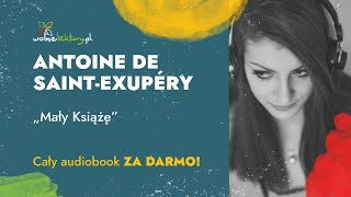 🤴 Mały Książę 🪐 NOWE TŁUMACZENIE 🌹 Antoine de SaintExupéry 🦊 CAŁY AUDIOBOOK  Wolne Lektury [upl. by Jacobsen]