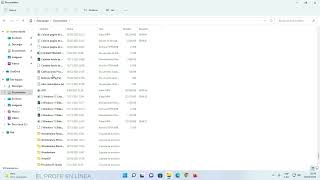 45 Windows 11 Ordenar archivos de las carpetas [upl. by Yblehs]