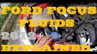 Ford Focus Fluid Maintenance 2012 [upl. by Kirstin]