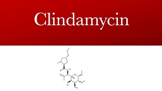 Clindamycin Cleocin Clindamax  Lincosamide antibiotic  Clindamycin antibiotic [upl. by Bortman]