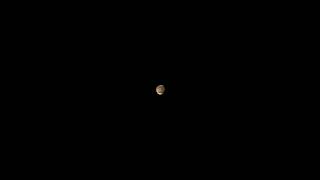 Mars through telescope Celestron NexStar 8SE [upl. by Palmore]