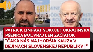 Poslanec NR SR Linhart ŠOKUJE čaká nás najhoršia kauza v dejinách Slovenska [upl. by Sherborne]