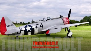 Thunderbolt  Republic P47D Thunderbolt Nellie B [upl. by Becka]