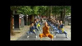 Shi De Yang Shaolin Grandmaster 2015 [upl. by Eelynnhoj552]