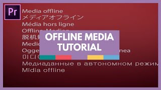 Relinking Offline Media in Premiere Pro [upl. by Damal]