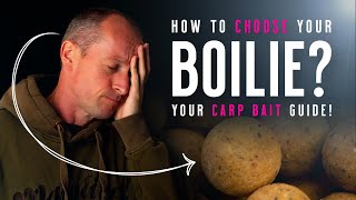 HOW TO CHOOSE A BOILIE Carp Fishing Baits Knowhow Your Bait Guide Mainline Baits Carp Fishing TV [upl. by Snehpets688]