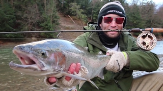 Cattaraugus Creek Steelhead Trout Fishing [upl. by Ireg]