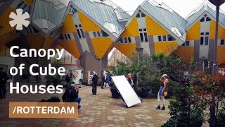 Cube Houses hang on pylons like a forest canopy in Rotterdam [upl. by Aiza203]