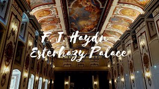 Joseph Haydn 🎼 🎶🍷⭐ Esterházy Palace in Eisenstadt Austria [upl. by Yretsym]