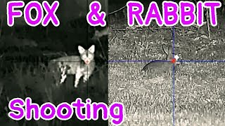 Rabbits amp Foxes  Alpex 4K NightVision  223 rifle shooting [upl. by Amilah]