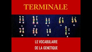 vocabulaire de la génétique [upl. by Arron]