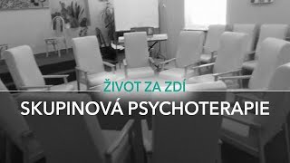 20 DÍL SKUPINOVÁ PSYCHOTERAPIE [upl. by Efren]