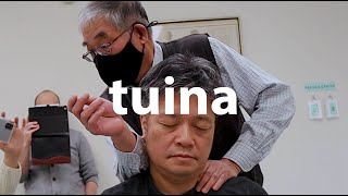 types of tuina  traditional massage acupuncture  medicine  dongguk university los angeles [upl. by Rafaela656]