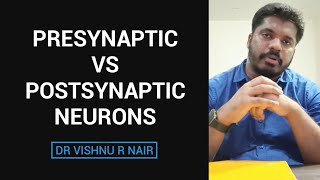 Presynaptic vs Postsynaptic neurons  docvishnu [upl. by Harbot]