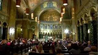 Altar Server Training Serving at the Altar Saint Clement Chicago [upl. by Aicelef]