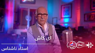 استاد ناشناس  ای کاش  Pepsis Saz O Surood  Ustad Nashenas  Ay Kash [upl. by Lamaj]