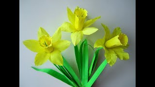 DIY daffodilsOsterglocken [upl. by Esinek]