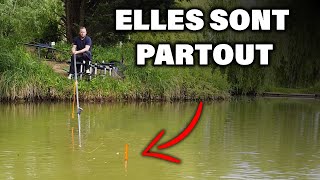 6 ÉTAPES pour RÉUSSIR SA PÊCHE à la PÂTE en CARPODROME [upl. by Jarad]