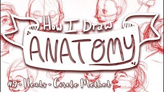 How I Draw ANATOMY 9  Human Head  Circle Method  MissKerrieJ [upl. by Adiv359]