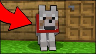 A Working Guard Dog in Minecraft easy [upl. by Klein]