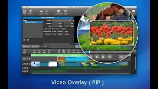 Video PictureinPicture PIP Movie Maker  Moviemator video editor Mac amp PC tutorial [upl. by Orpah]