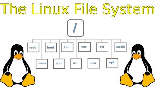 The Linux File Structure Explained [upl. by Ttej304]