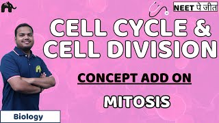 Mitosis The Amazing Cell Process that Uses Division to Multiply Updated [upl. by Nevin]