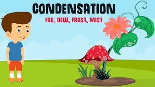 Condensation and its forms  Dew Fog Frost and Mist  Video for Kids [upl. by Tooley826]