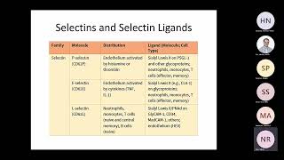 Abbas 3 Leukocyte Circulation and Migration into Tissues Raje 2021 [upl. by Adelaja413]