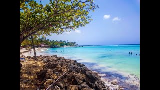 15 Things to do in Tobago [upl. by Worra]