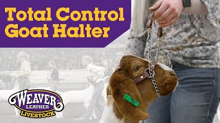 Total Control Goat Halter by Weaver Livestock [upl. by Naasah]