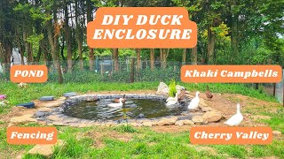 How To Build a DIY Duck Enclosure and Pond [upl. by Carper]