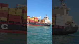 Welcome Msc 🚢😲  ytshorts shorts shortvideo [upl. by Enelcaj]