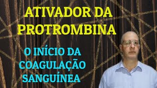 Ativador da protrombina O início da coagulação sanguínea [upl. by Valle]