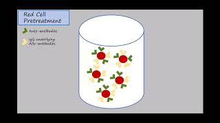 Haemagglutination test [upl. by Ramahs]