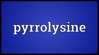 Pyrrolysine Meaning [upl. by Rolyat]