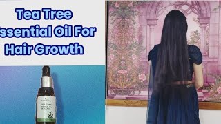 TEA TREE ESSENTIAL OIL for Hair Growth  How to use Tea Tree Essential Oil For Hair Growth [upl. by Moretta]