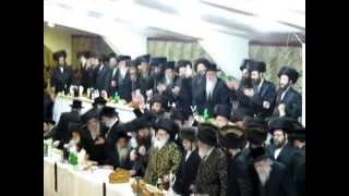 Viznitz Vien Bar Mitzvah Admorim Grand Entrance [upl. by Enomis]