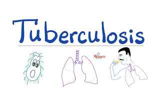 Tuberculosis TB  The Most Comprehensive Explanation  Respiratory Pathology  Pulmonology Series [upl. by Ytinav]