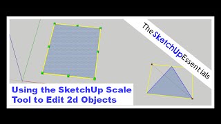 Using the SketchUp Scale Tool to Modify 2d Objects  SketchUp Essentials 4 [upl. by Eruza782]