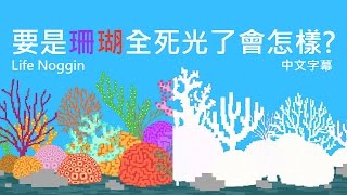 要是珊瑚全死光了會怎樣 中文CC字幕 [upl. by Tnecillim]