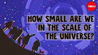 How small are we in the scale of the universe  Alex Hofeldt [upl. by Decca]