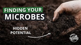 3Steps to Rapid Soil Regeneration Part 1 Finding the Beneficial Microbes in your Location [upl. by Maxwell88]