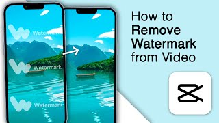 How To Remove Watermark From Video 3 Easiest Methods [upl. by Blalock]