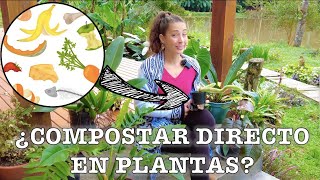 ¿RESÍDUOS DE COCINA DIRECTO en las PLANTAS [upl. by Sito]