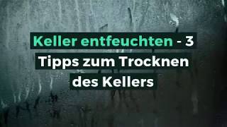 Keller entfeuchten  3 Tipps zum Trocknen des Kellers [upl. by Yelsew251]